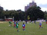 Click to see P9160019.JPG